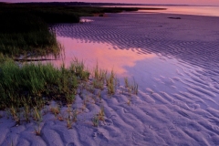 LUSAE-Skatet-Beach-PC